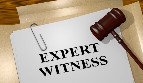 Expert Legal Witness